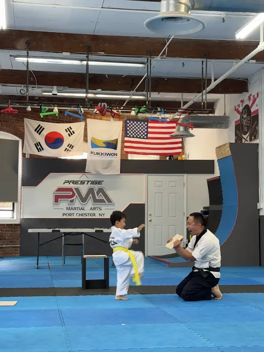 Prestige Martial Arts Picture 2