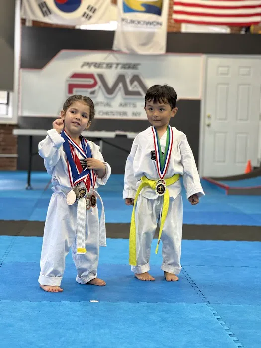 Prestige Martial Arts Picture 4