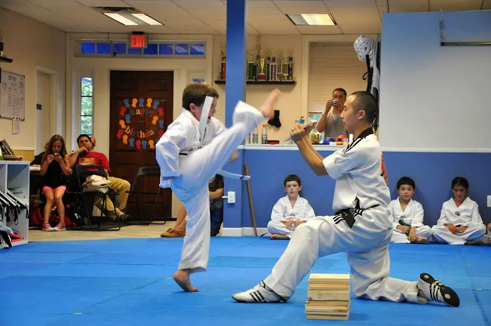 Prestige Martial Arts Picture 10