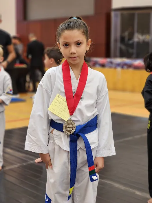 Prestige Martial Arts Picture 9