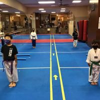 White Tiger Taekwon DO LLC ico