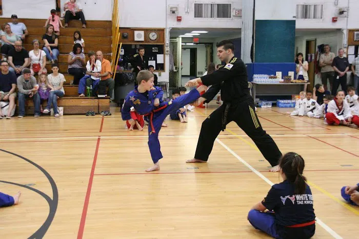 White Tiger Taekwon DO LLC Picture 4