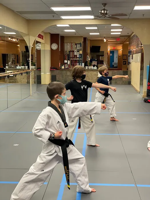 White Tiger Taekwon DO LLC Picture 10