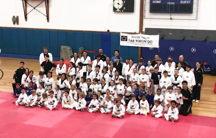 White Tiger Taekwon DO LLC Picture 6