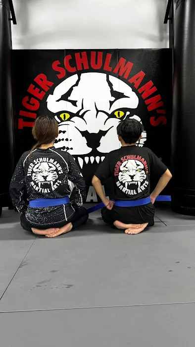 Tiger Schulmann's Martial Arts (White Plains, NY) Picture 3