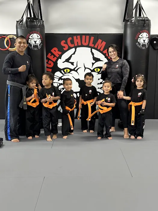Tiger Schulmann's Martial Arts (White Plains, NY) Picture 2