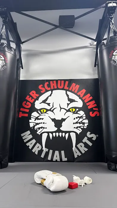 Tiger Schulmann's Martial Arts (White Plains, NY) Picture 7