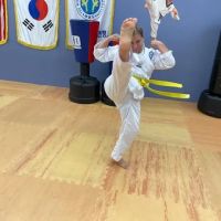 Rose Hill Taekwondo ico