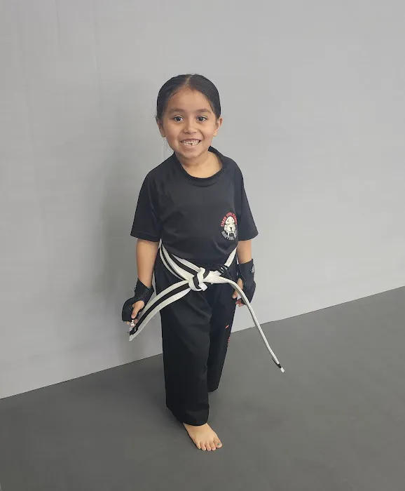 Tiger Schulmann's Martial Arts (Merrick, NY) Picture 6
