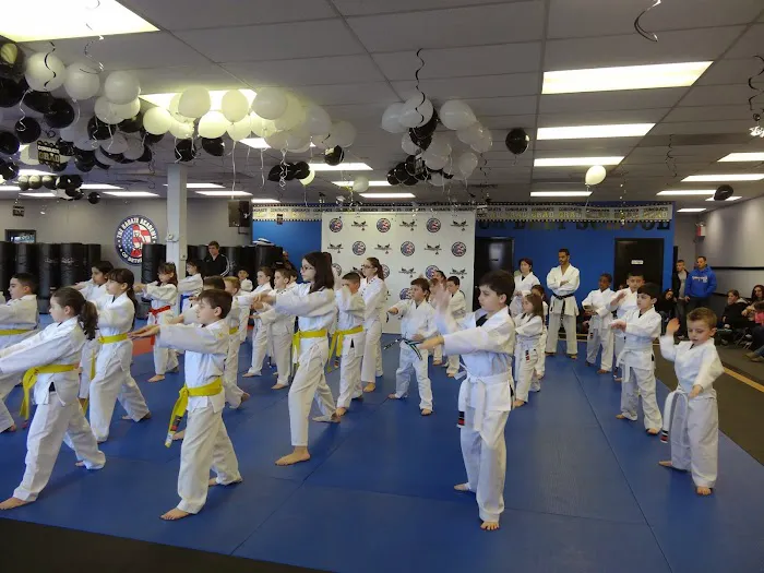 The Karate Academy of Long Island Picture 4