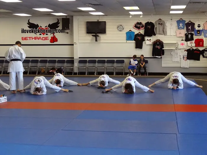 The Karate Academy of Long Island Picture 1
