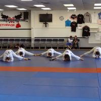 The Karate Academy of Long Island ico