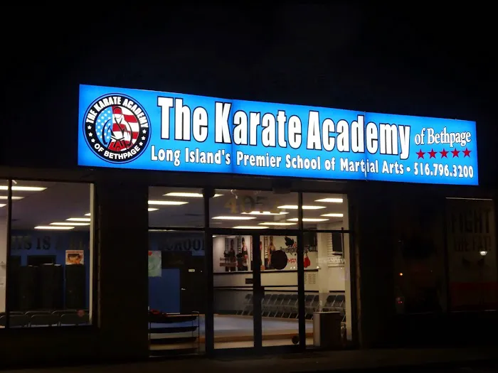 The Karate Academy of Long Island Picture 3