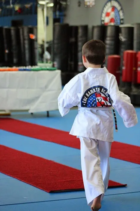 The Karate Academy of Long Island Picture 8