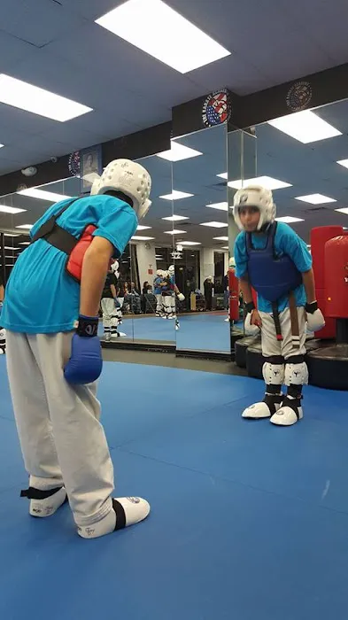 The Karate Academy of Long Island Picture 7