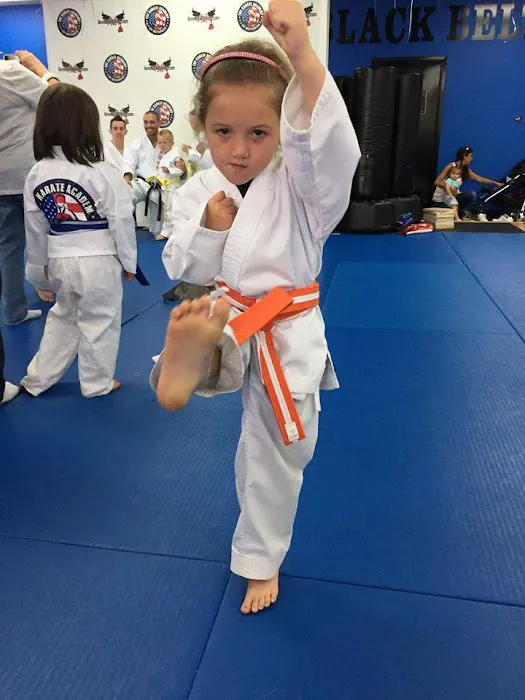 The Karate Academy of Long Island Picture 9