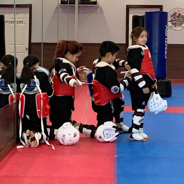 Champions Martial Arts Bethpage Picture 5