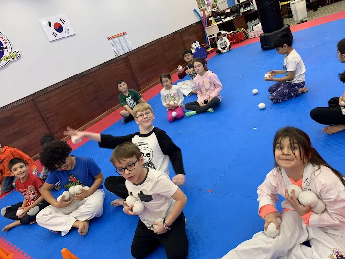 Champions Martial Arts Bethpage Picture 6