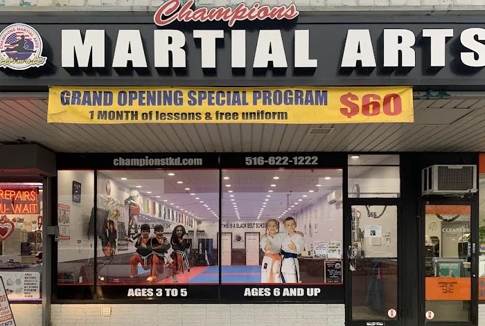 Champions Martial Arts Bethpage Picture 3