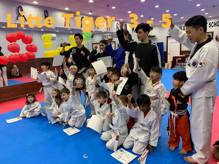 Champions Martial Arts Bethpage Picture 9