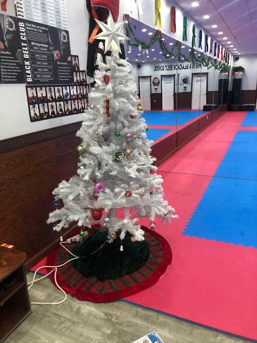 Champions Martial Arts Bethpage Picture 10