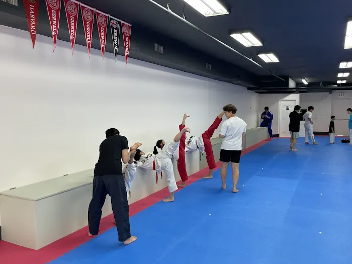 Team Pro. YK Taekwondo Academy Picture 1