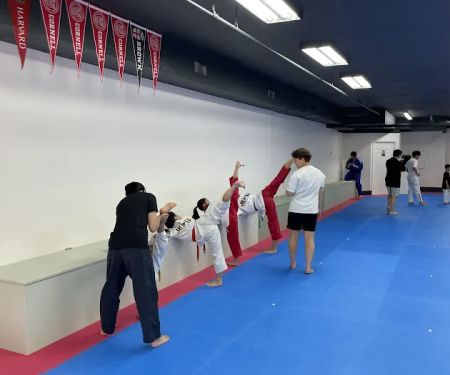 Team Pro. YK Taekwondo Academy