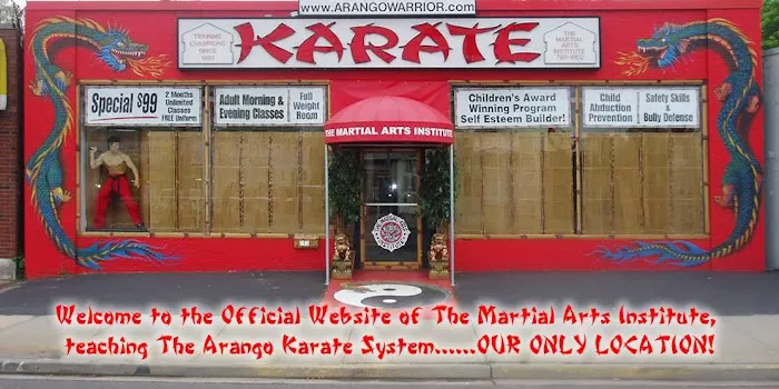 The Martial Arts Institute Picture 8