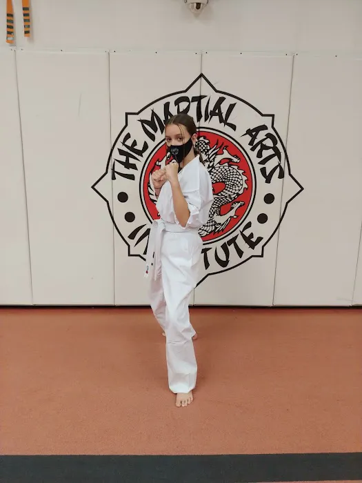 The Martial Arts Institute Picture 6