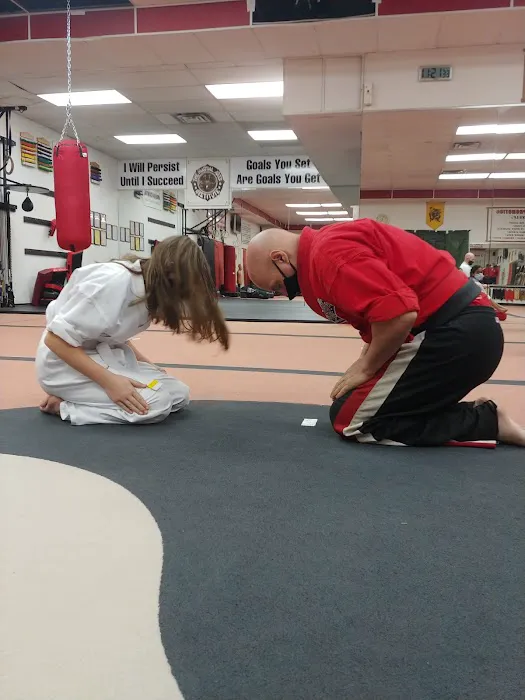 The Martial Arts Institute Picture 4