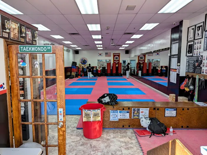 Tae Kwon Do Picture 2