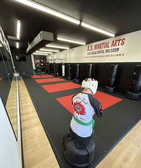 A.B. Martial Arts Academy Picture 4