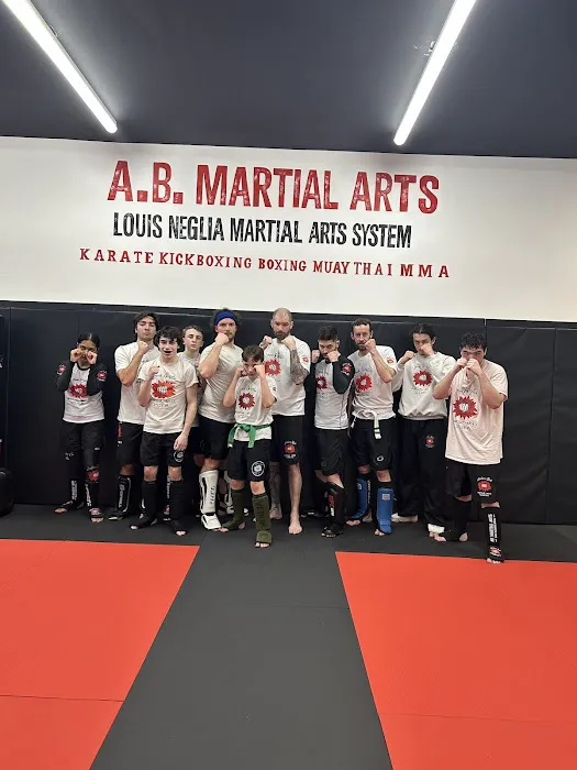 A.B. Martial Arts Academy Picture 2