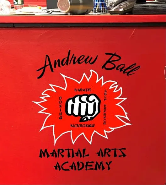 A.B. Martial Arts Academy Picture 3