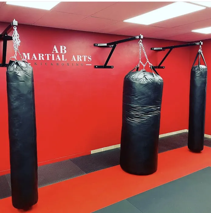 A.B. Martial Arts Academy Picture 8