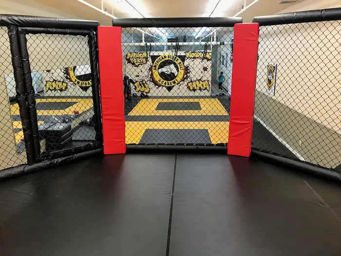 American Black Belt Academy - American Karate, Brazilian Jiu Jitsu & Kickboxing Picture 8