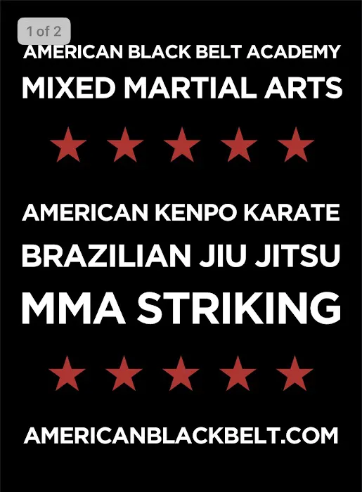 American Black Belt Academy - American Karate, Brazilian Jiu Jitsu & Kickboxing Picture 3