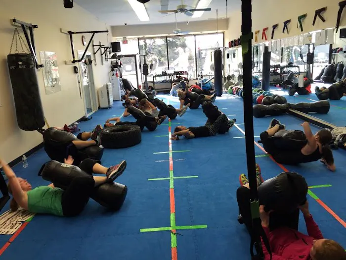 American Black Belt Academy - American Karate, Brazilian Jiu Jitsu & Kickboxing Picture 9