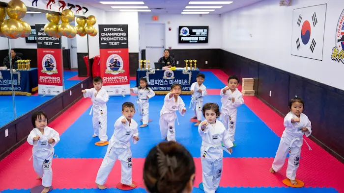 Champions Martial Arts Woodbury Picture 2