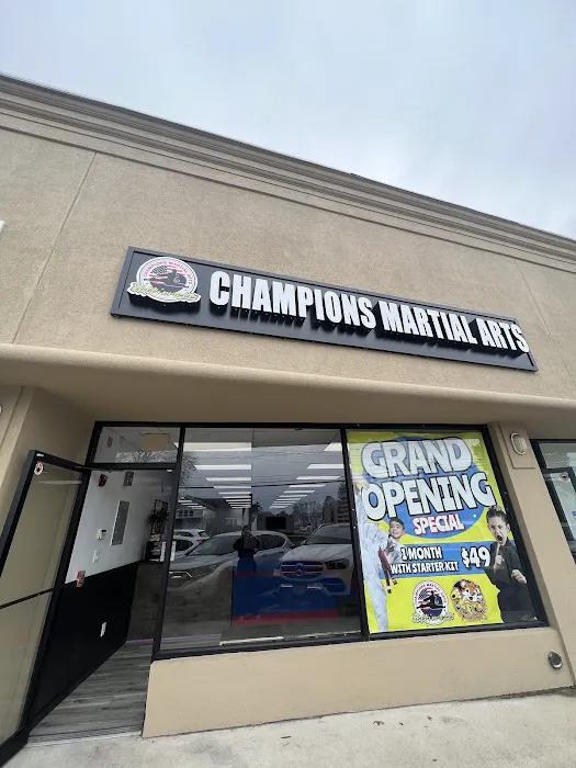 Champions Martial Arts Woodbury Picture 5