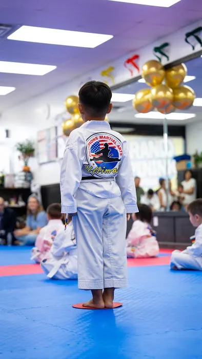 Champions Martial Arts Woodbury Picture 3