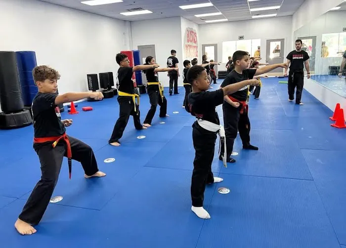 Busto's Martial Arts of Plainview Picture 6