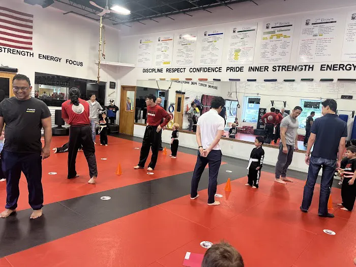 Busto's Martial Arts of Plainview Picture 3