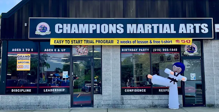 Champions Martial Arts Plainview Picture 3