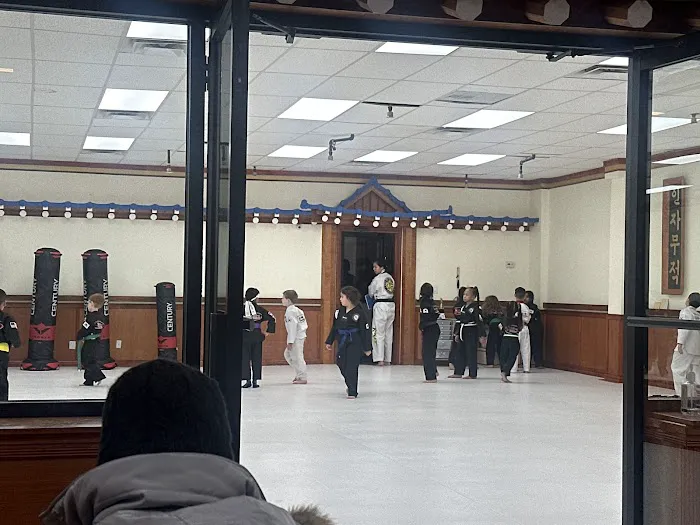 Spirit Taekwondo Plainview Picture 2