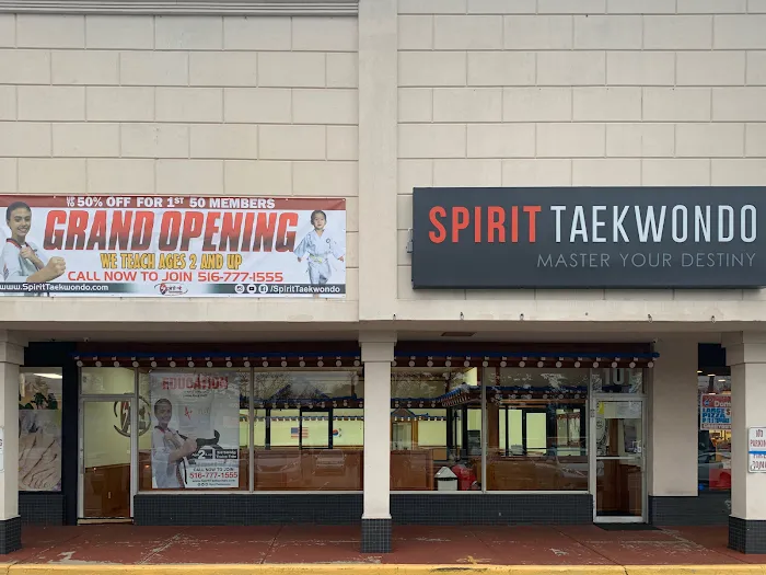 Spirit Taekwondo Plainview Picture 5