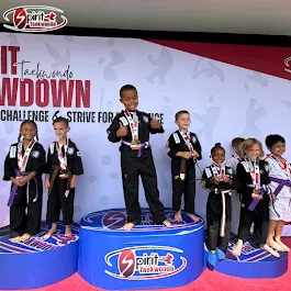 Spirit Taekwondo Plainview Picture 4