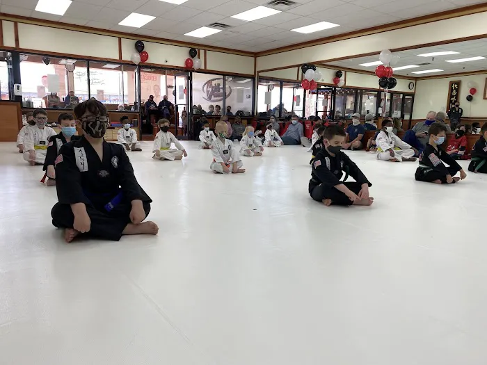 Spirit Taekwondo Plainview Picture 3