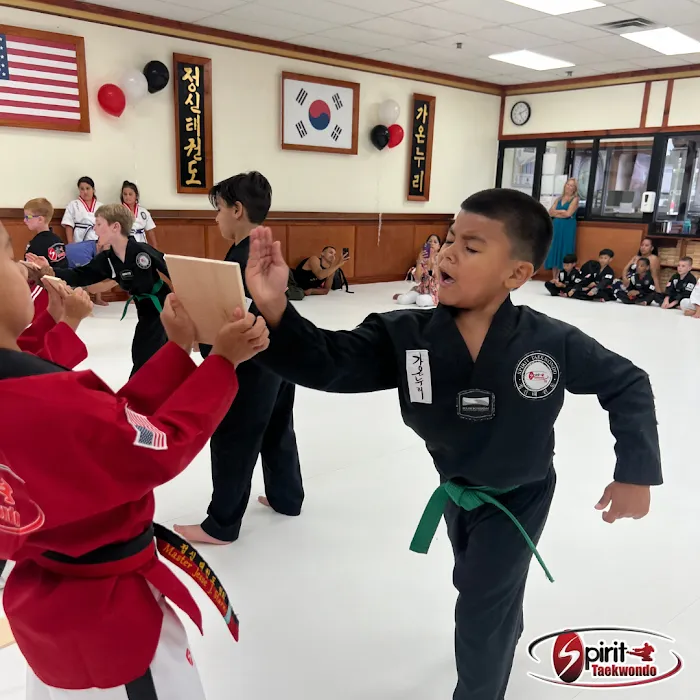 Spirit Taekwondo Plainview Picture 6