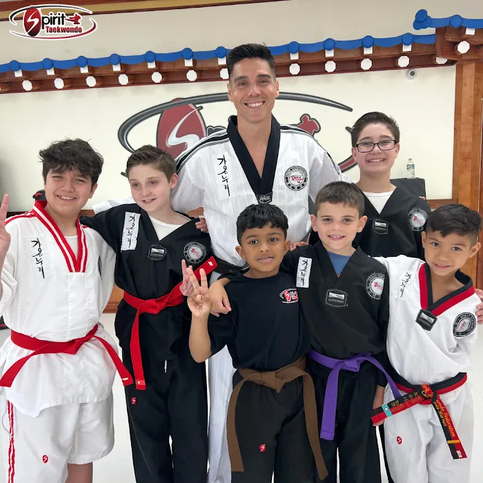 Spirit Taekwondo Plainview Picture 8
